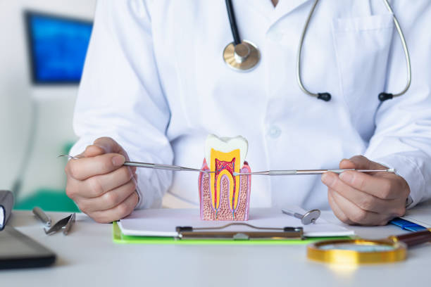 Best Emergency Gum Pain Relief  in Hernando, FL
